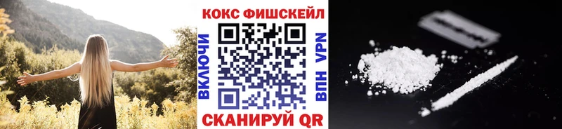 Купить закладки  Каменск-Шахтинский  Cocaine 99% 