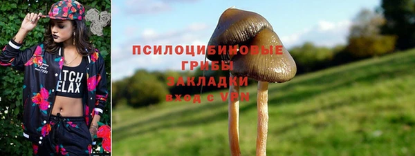 бутират Гусев
