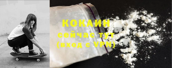 крисы Дмитриев