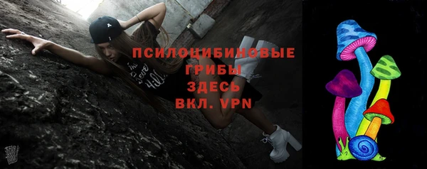 бутират Гусев