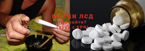 стаф Дмитров