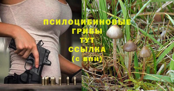 крисы Гусь-Хрустальный