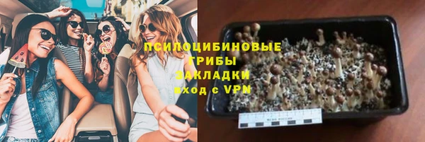 крисы Гусиноозёрск