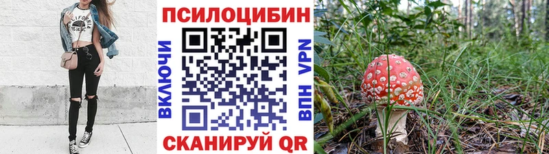 Галлюциногенные грибы GOLDEN TEACHER  Купить  Каменск-Шахтинский 